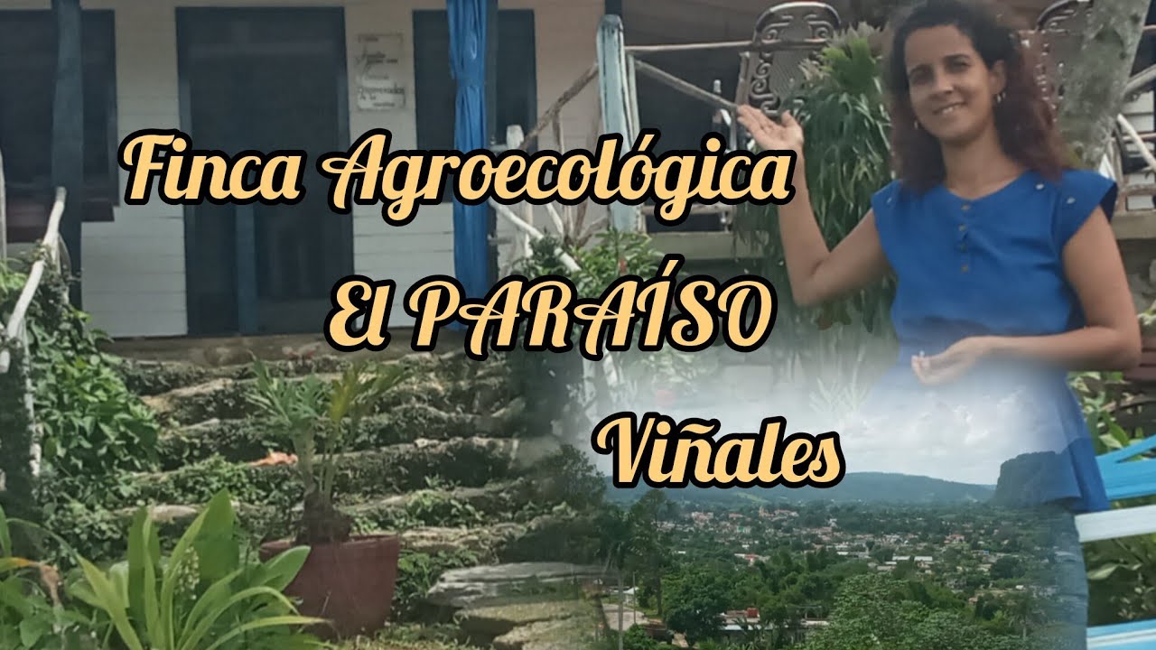 Finca agroecológica el PARAÍSO en Viñales. Experiencia  verde 💚 , única y llena de amor💌 