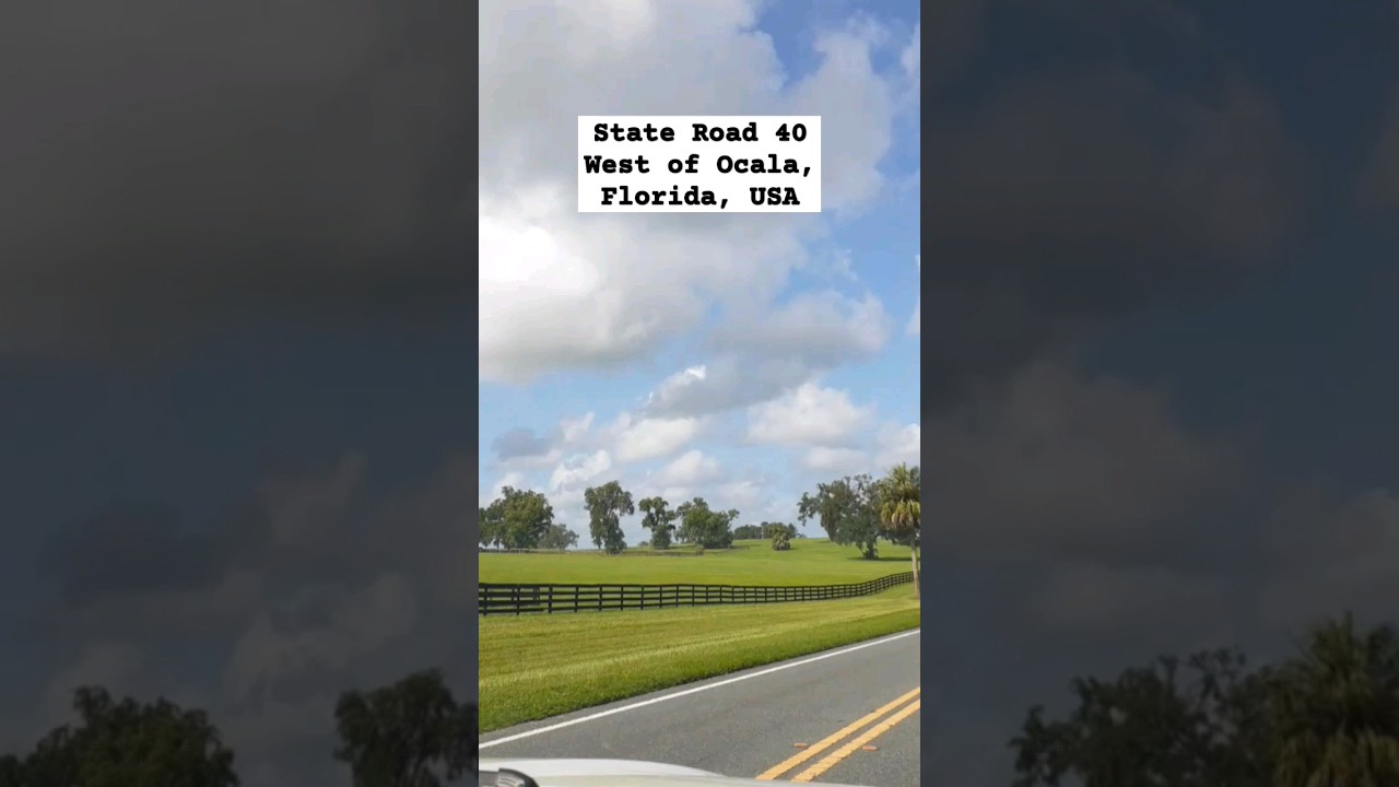 State Road 40 West of Ocala, Florida, USA #traveling #florida #usa