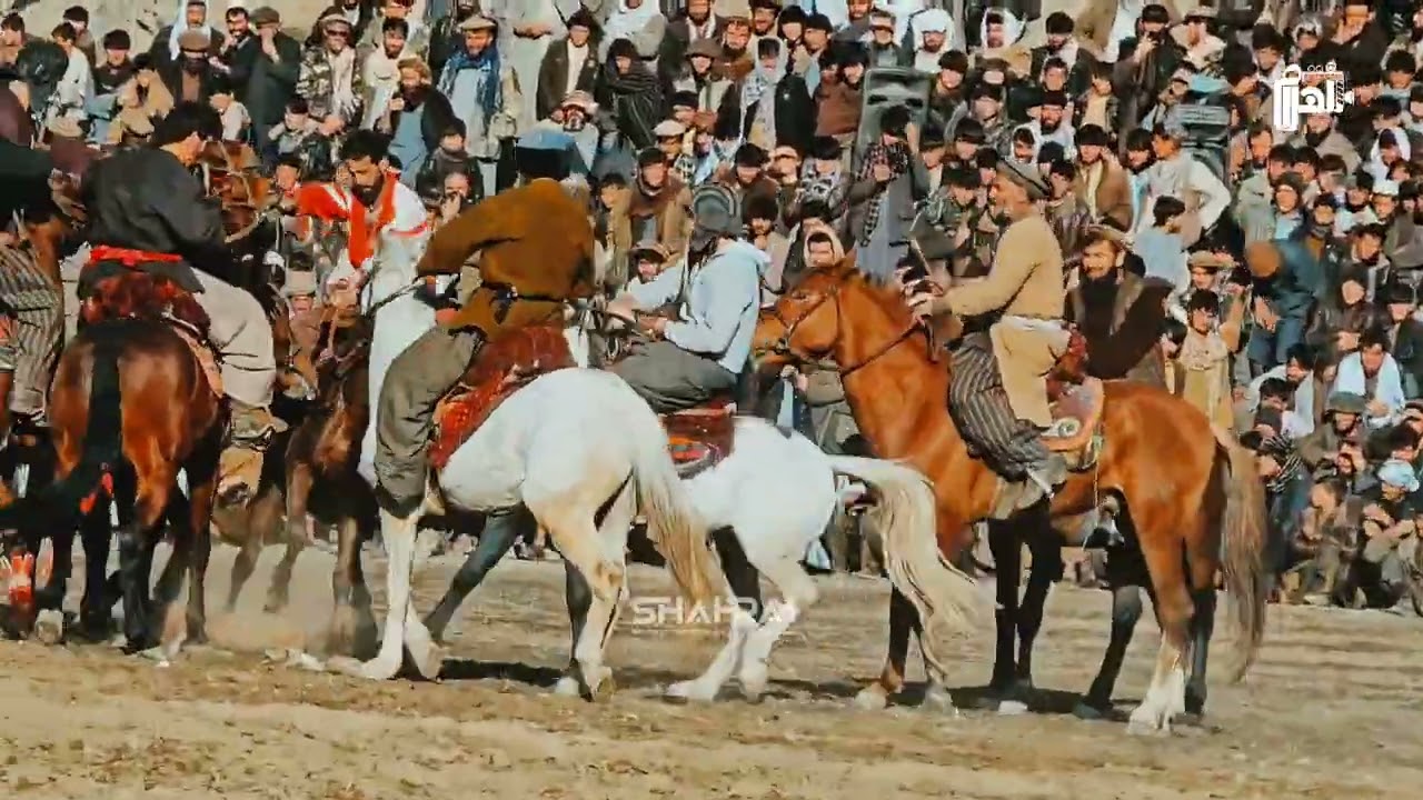 ۹ فبروری ۲۰۲۶