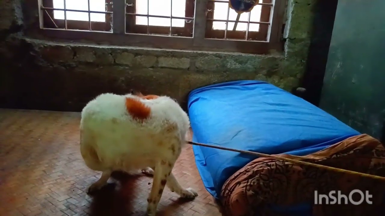 കുറച്ചു വിശേഷം