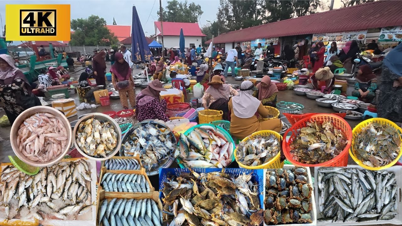 Amazing! Fresh Seafood, Lobsters, Crabs & More - Street Food 