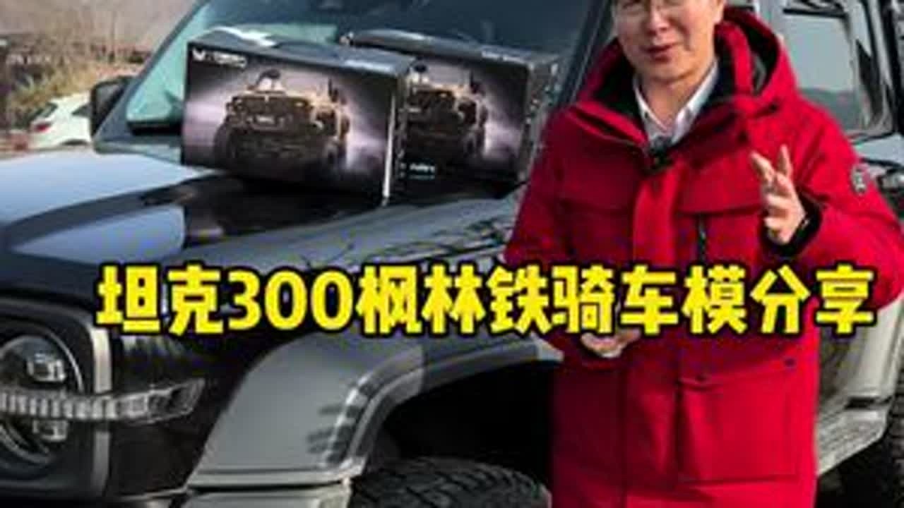 好玩的坦克300铁骑02同款车模，你喜不喜欢！ #坦克300