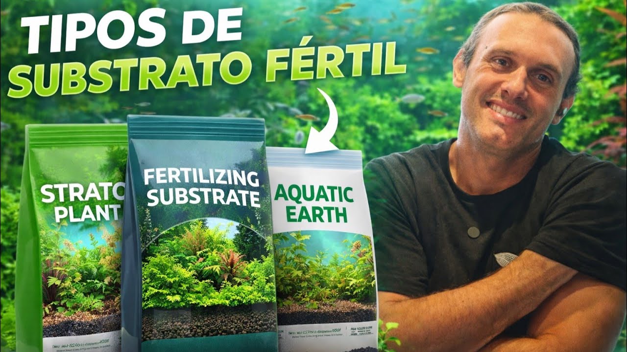 TIPOS DE SUBSTRATO FÉRTIL PARA AQUÁRIO PLANTADO