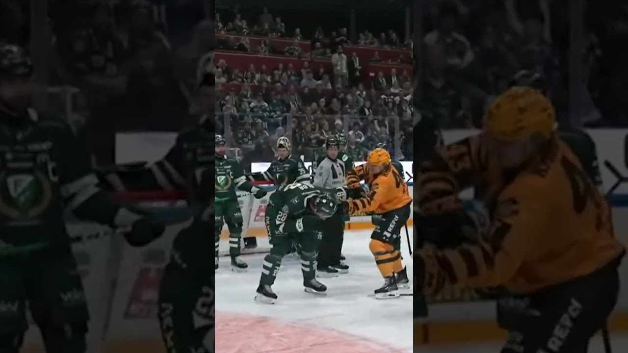 Max Krogdahl slåss med Emil Alba (Skellefteå AIK mot Färjestad BK i SHL i Sverige) (