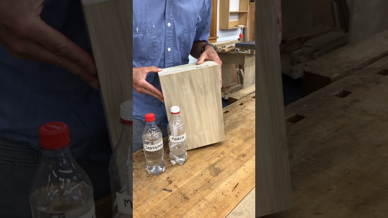 How and Why Does Wood Move
