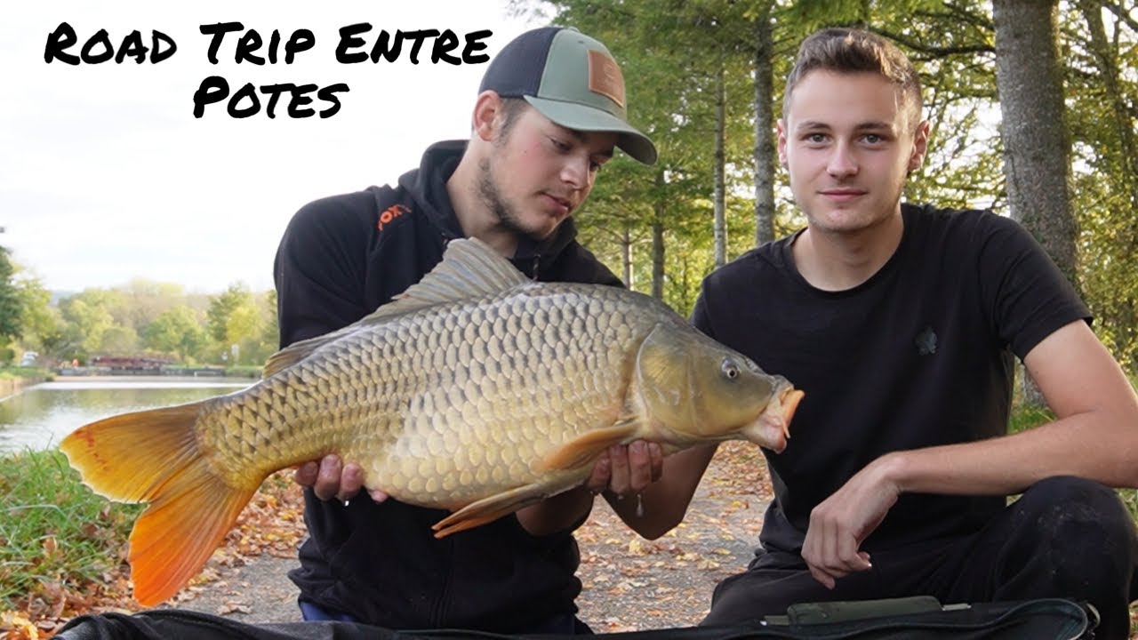 {CARPE} Épisode 1 Road Trip en Canal Entre Potes Peche Carpe Full Hd 1080P