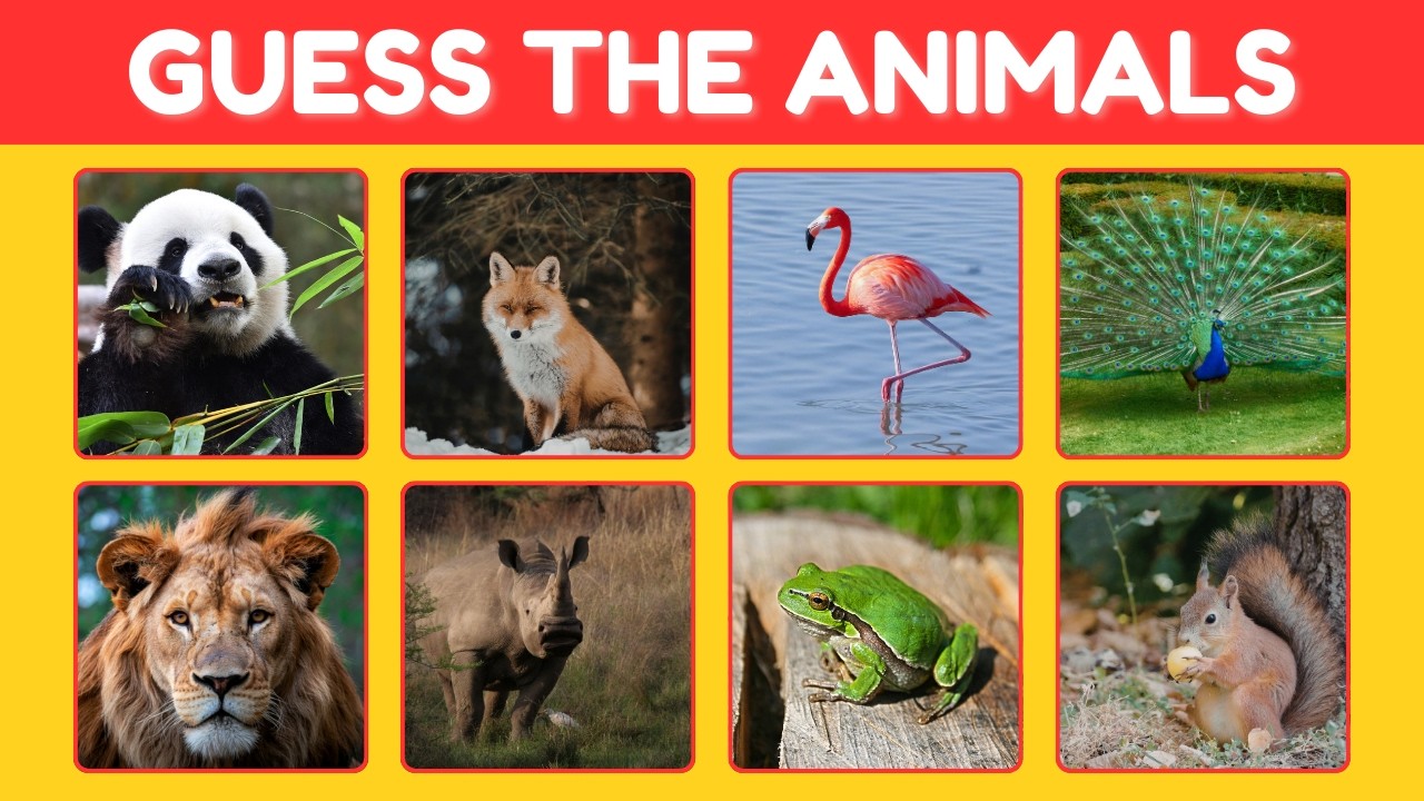 Only 1% Can Guess All These Animals! 🐯🧠 Ultimate Animal Quiz Challenge