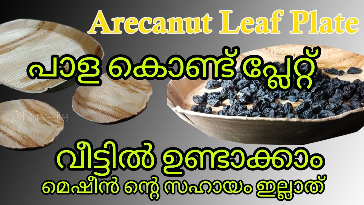 How to make Arecanut leaf plate in home || പാള കൊണ്ട് പ്ലേറ്റ് വീട്ടിൽ ഉണ്ടാക്കാം || diy Craft