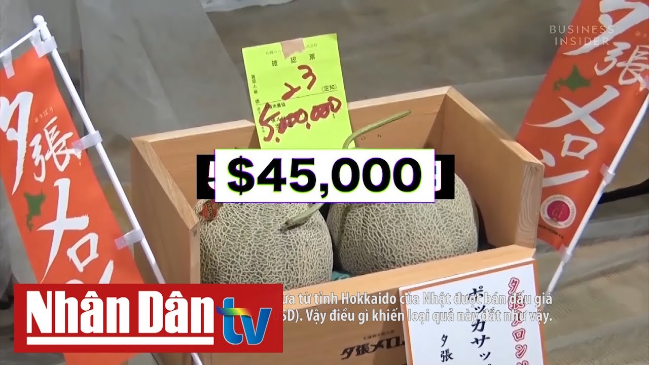 V&igrave; sao dưa lưới Nhật Bản c&oacute; gi&aacute; đắt đỏ?