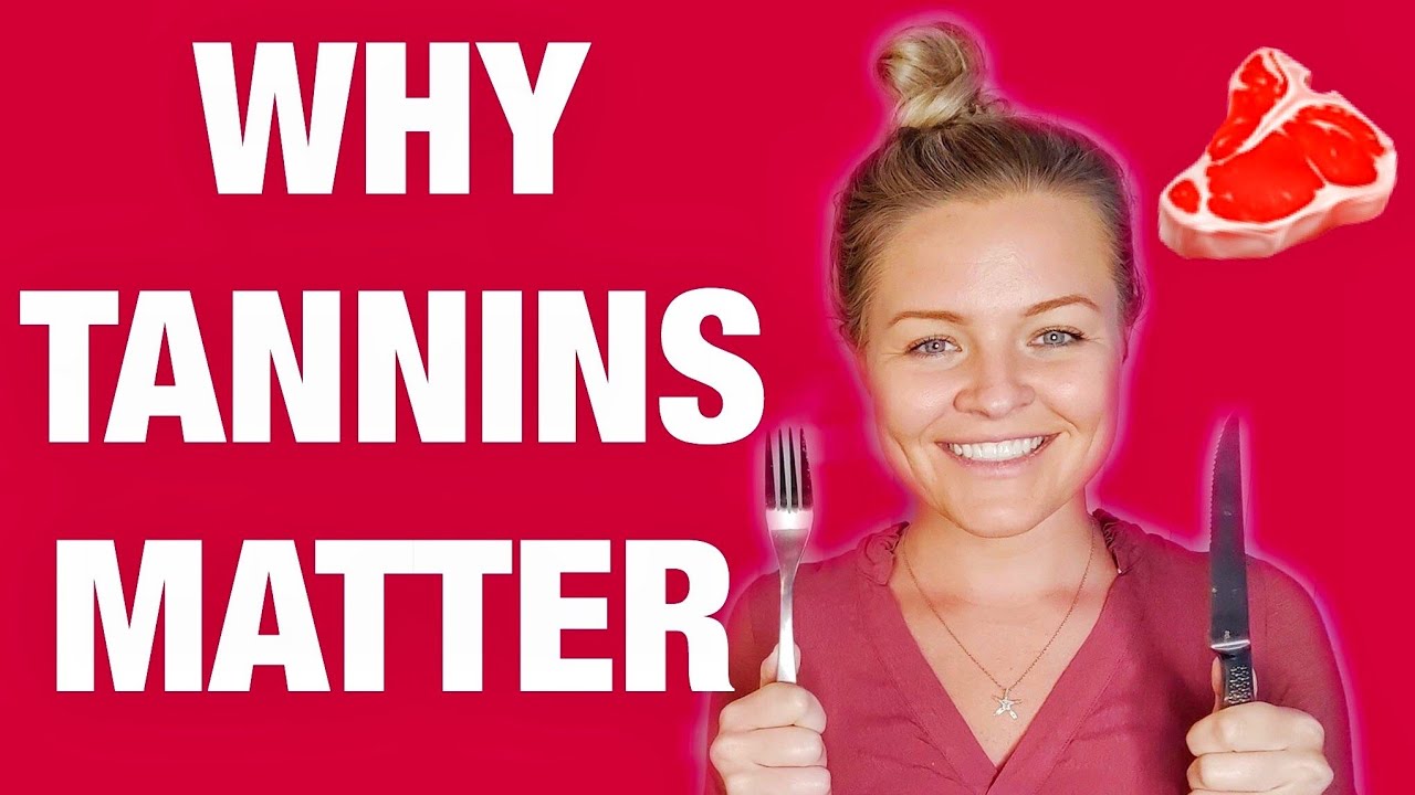 How to Pair WINE with STEAK for Beginners | What Wine to Drink with Steak