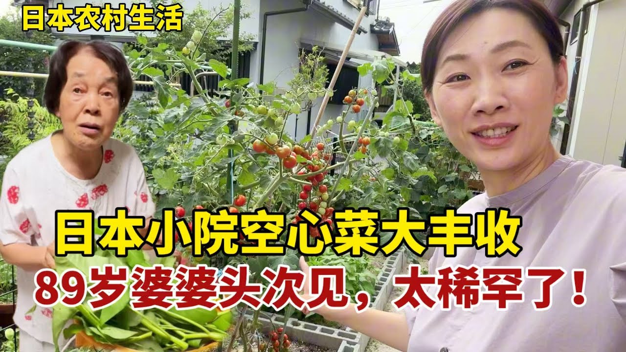 【團子姐日本生活】日本小院蔬菜大豐收，90歲公婆第一次吃空心菜，可算開眼了！