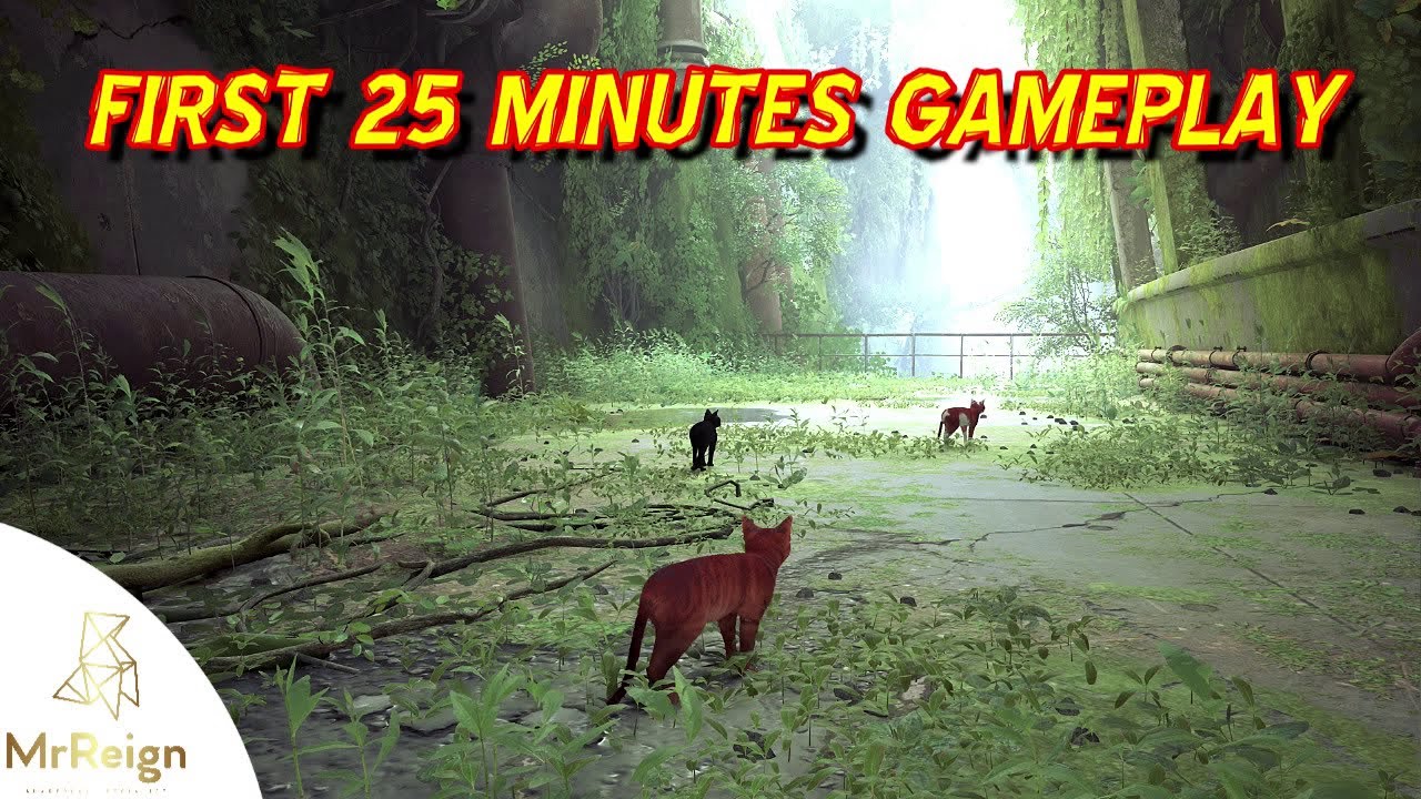 Stray PS5 - First 20 Minutes Playtime