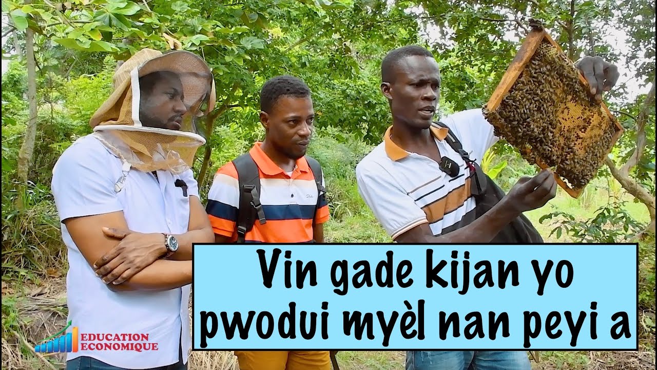Vin gade kijan yo pwodui myèl nan peyi a.