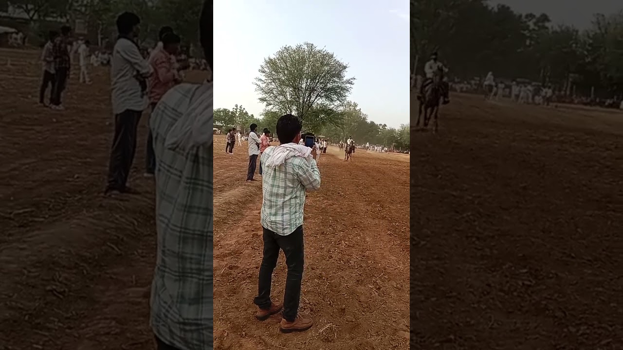रतनपुरा में घोड़ा घोड़ी रेस प्रोग्राम लालसोट