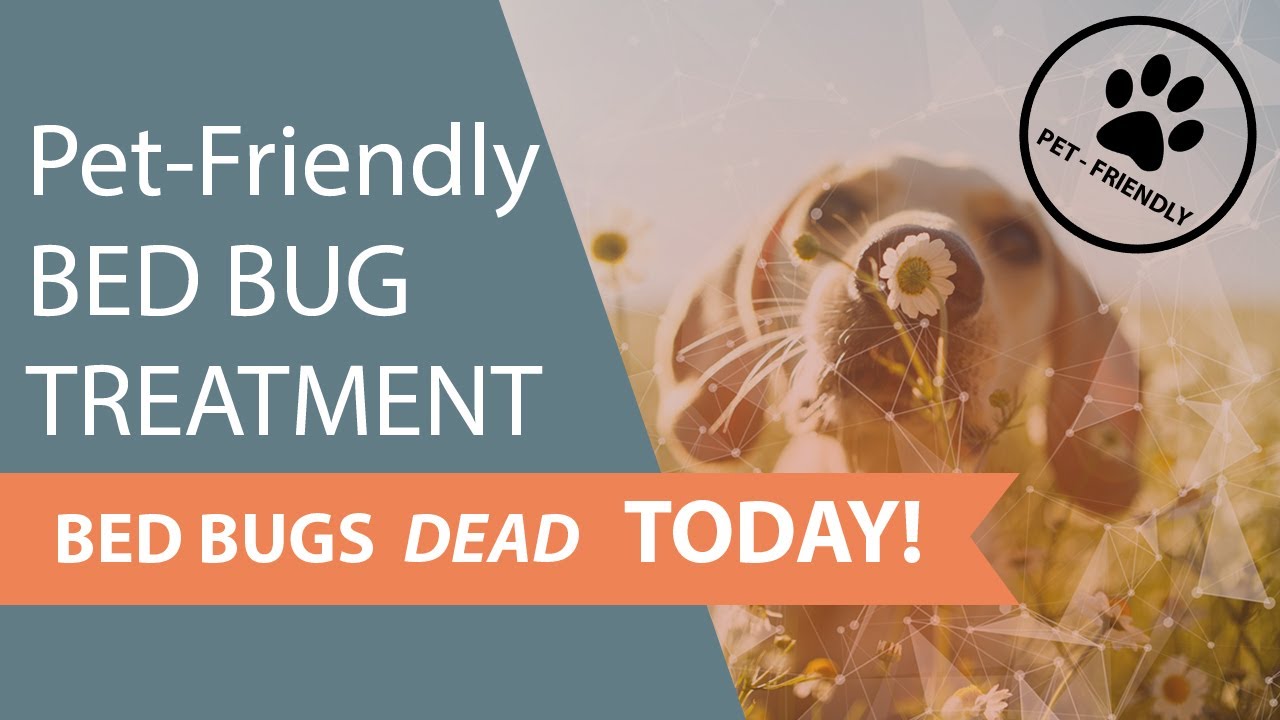 🆕Pet-Friendly Bed Bug Exterminator - Non-Toxic Bed Bug Treatment 587-805-3323