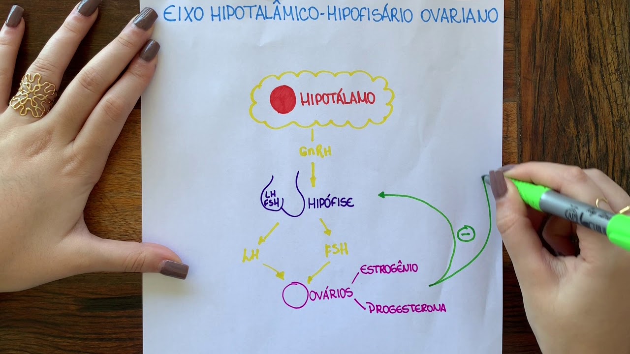 FISIOLOGIA DO CICLO MENSTRUAL