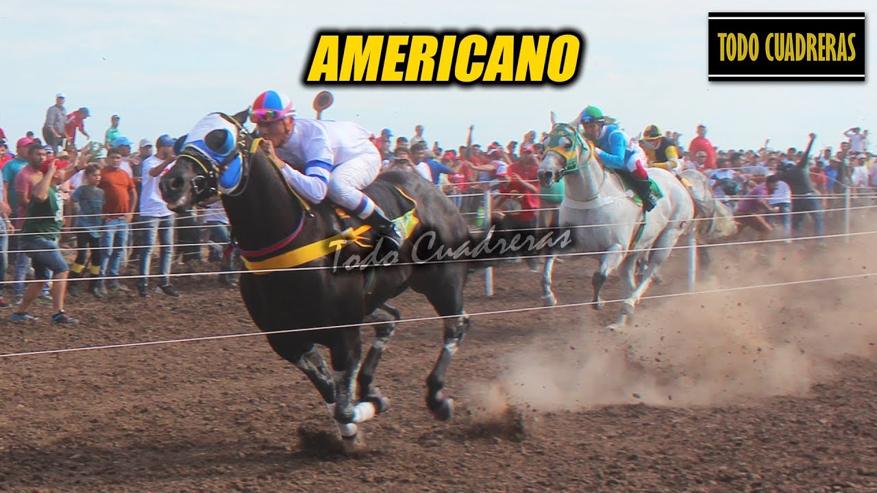 &bull; AMERICANO &bull; Mega Cl&aacute;sico - Selva (28-10-18)