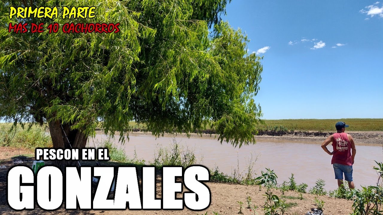 Pesca de Lechiguana al Gonzáles más de 10 CACHORROS💥TREMENDO LUGAR