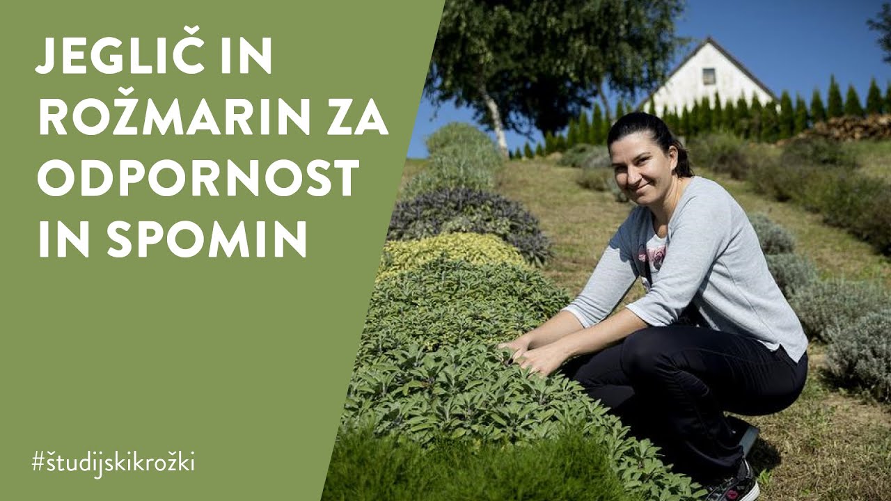 #ostanidoma - JEGLIČ IN ROŽMARIN ZA ODPORNOST IN SPOMIN, Špela Pogelšek