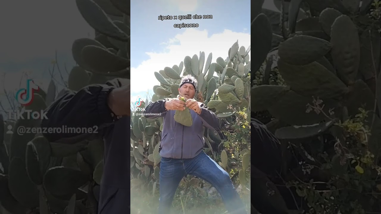 Pala Fico d'india spiegazione da zenzero limone Sicilia Villarosa