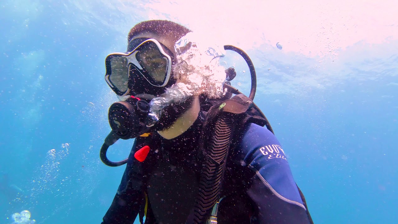 Diving Komodo