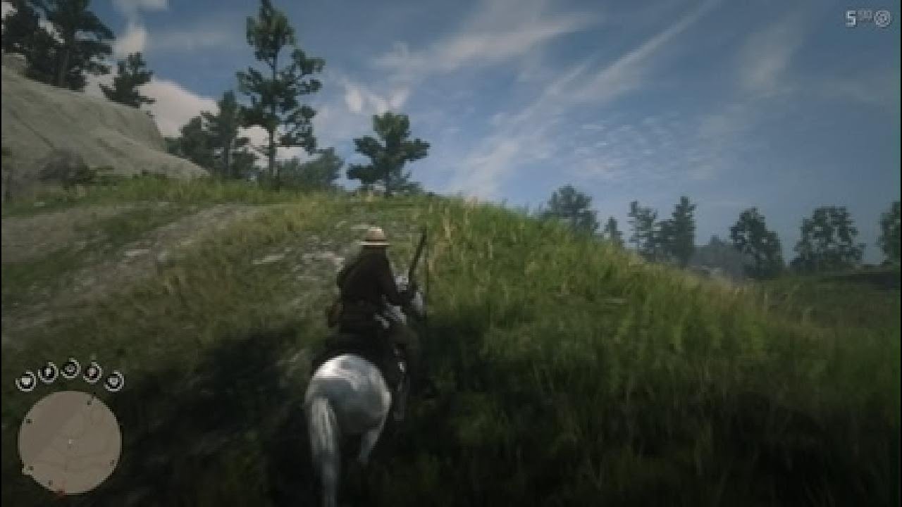 RDR2 GAMEPLAY 38