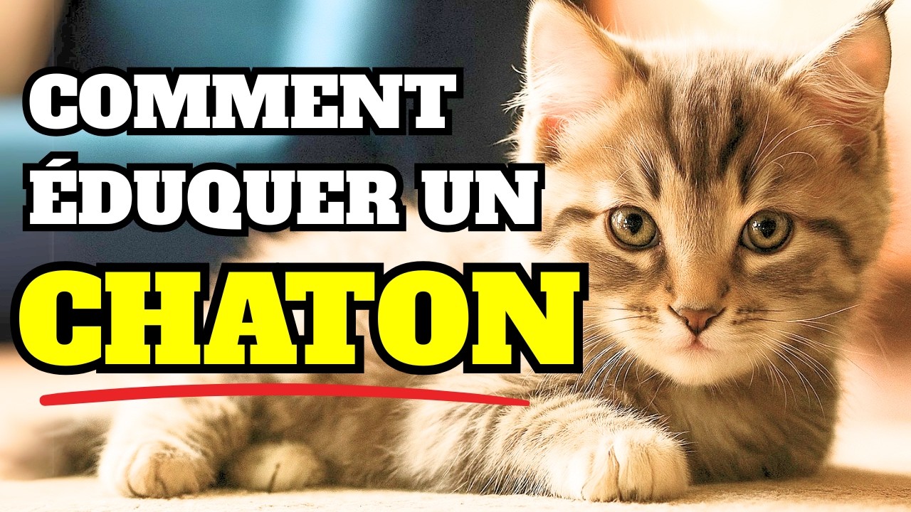 COMMENT &Eacute;LEVER ET &Eacute;DUQUER CORRECTEMENT UN CHATON