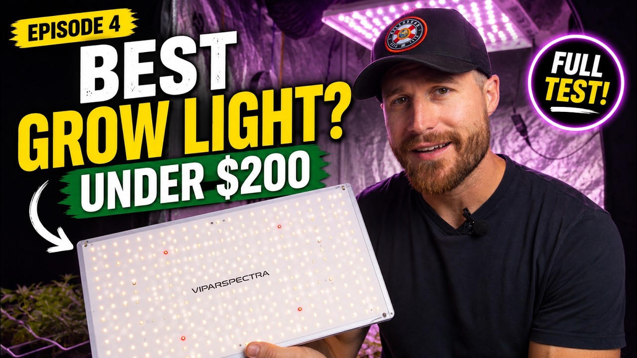 Best LED Grow Lights (Under $200) EP#4