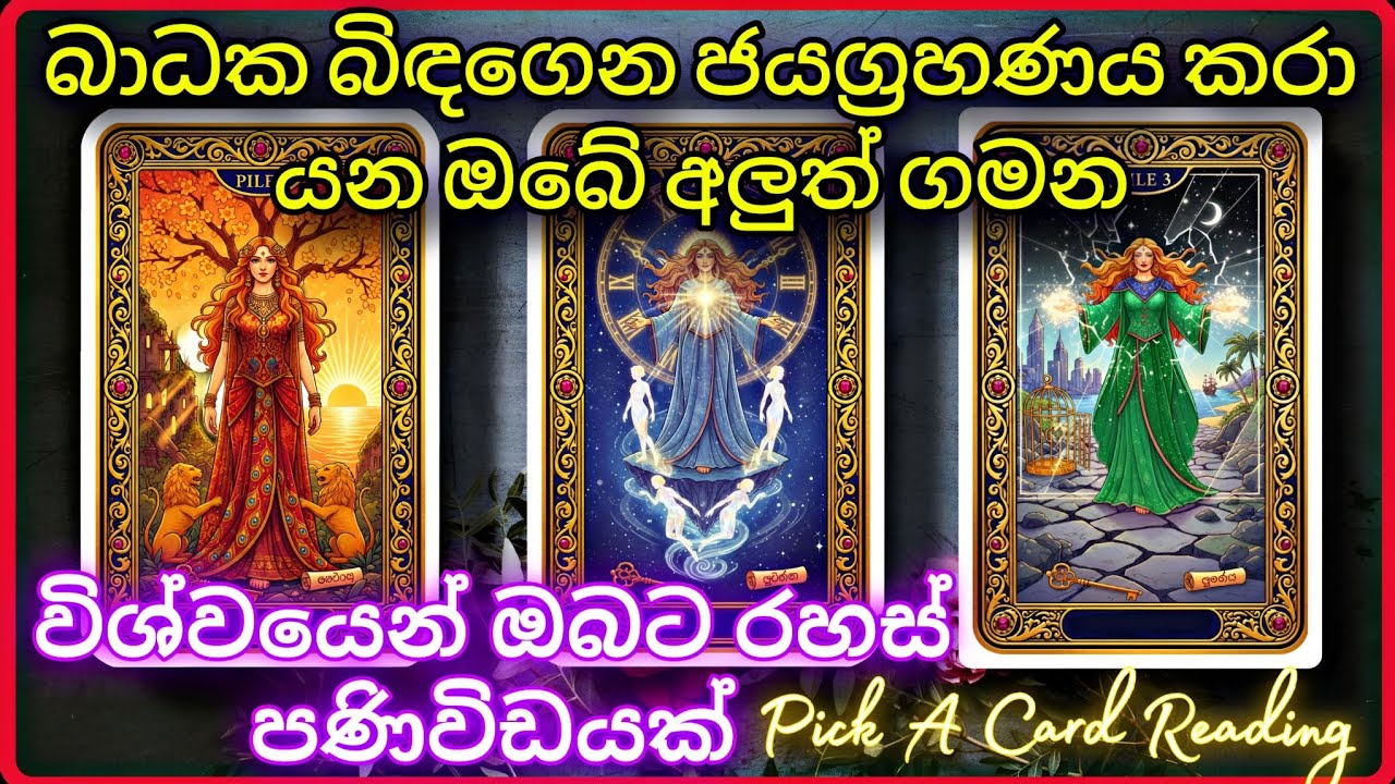 විශ්වයෙන් ඔබට සුවිශේෂ රහස් පණිවිඩය මෙන්න  ✨Pick a Card Reading 2026 #tarotcardreading #sinhala 