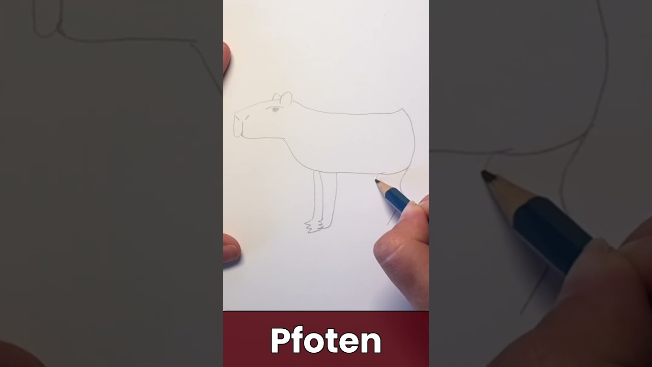 Capybara in 1 Minute zeichnen - Einfach & Schnell! 