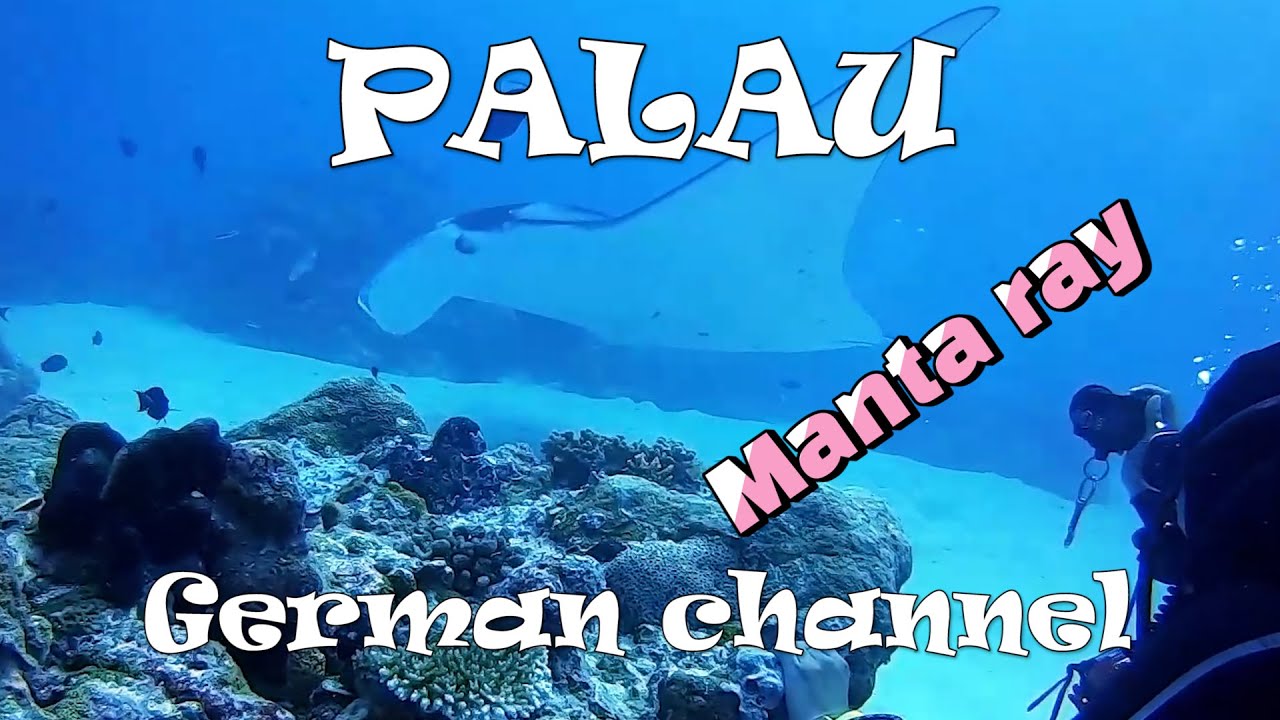PALAU scuba diving(German channel) 팔라우 스쿠버 다이빙(져먼채널)