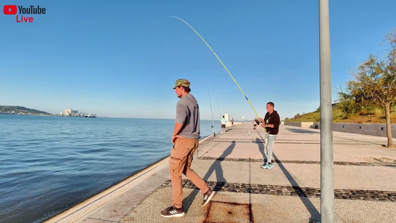 Pesca as corvinas em Algés