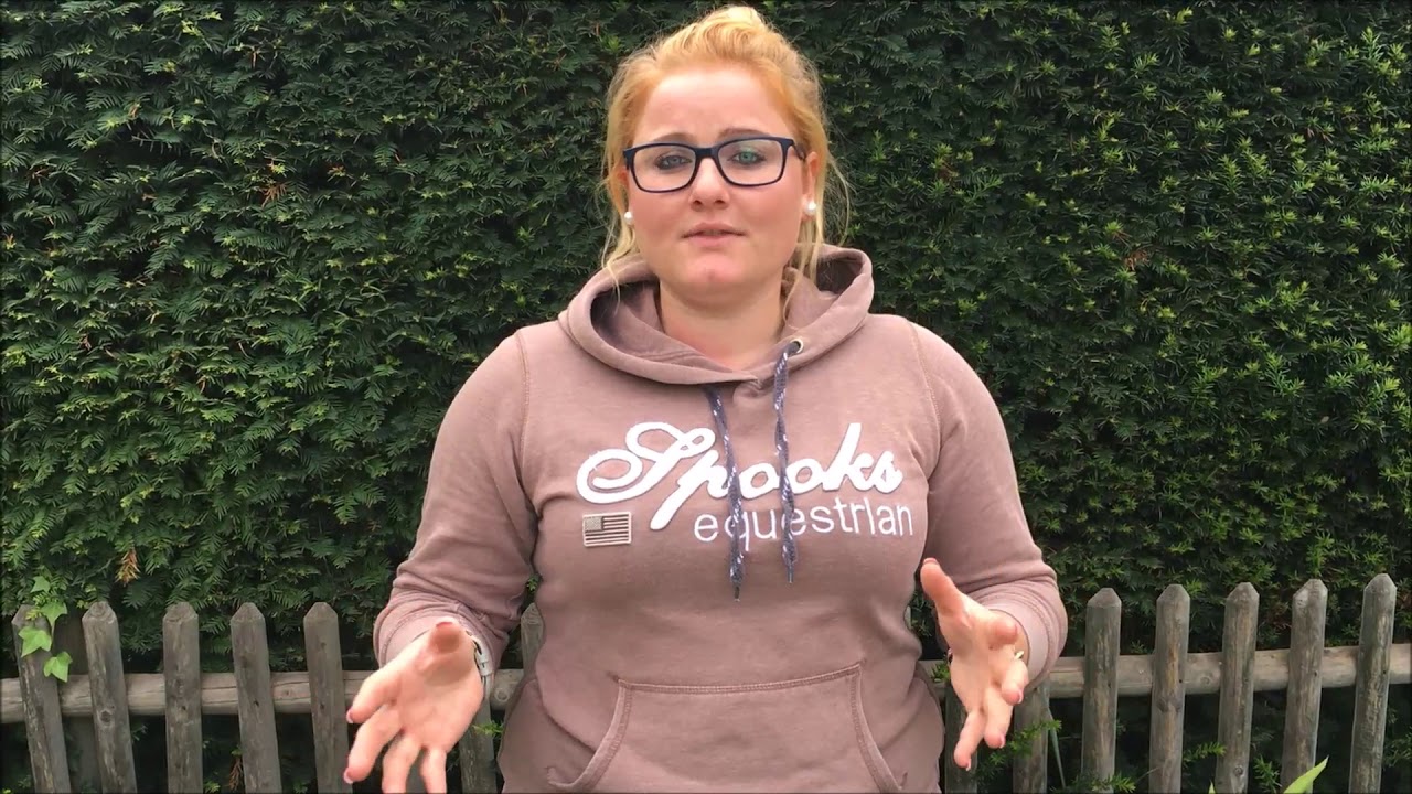 Pia´s Stallalltag- Hufschlagfiguren für Einsteiger