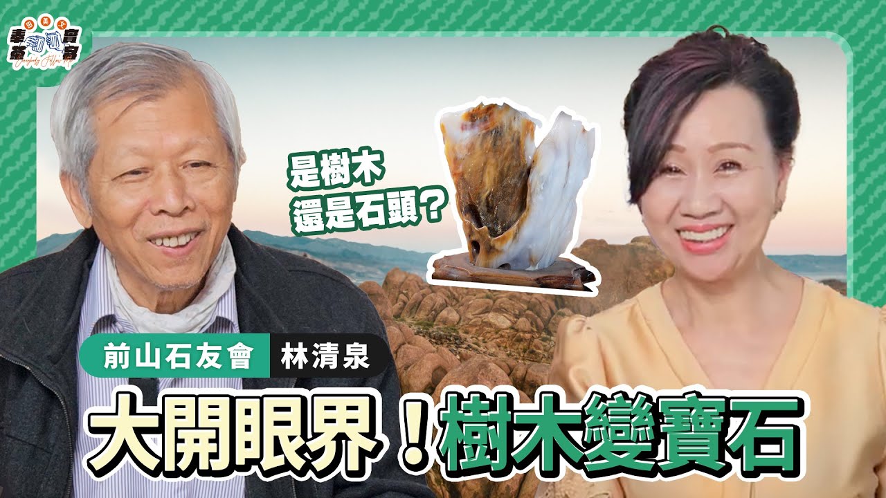 🔥🌋🌋🌴🦖「樹化玉」到底是什麼？不敢置信，億萬年樹木，地底成玉石，晶瑩剔透，令人驚奇，一定要分享大家！玩石達人介紹台灣雅石，玩石領悟人生，有意思！🫠🫠🫠田美女 ft. 前山石友會理事長 林清泉