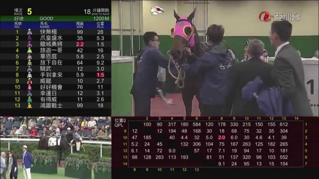 2015 高松宮紀念 友瑩格 AEROVELOCITY エアロヴェロシティ