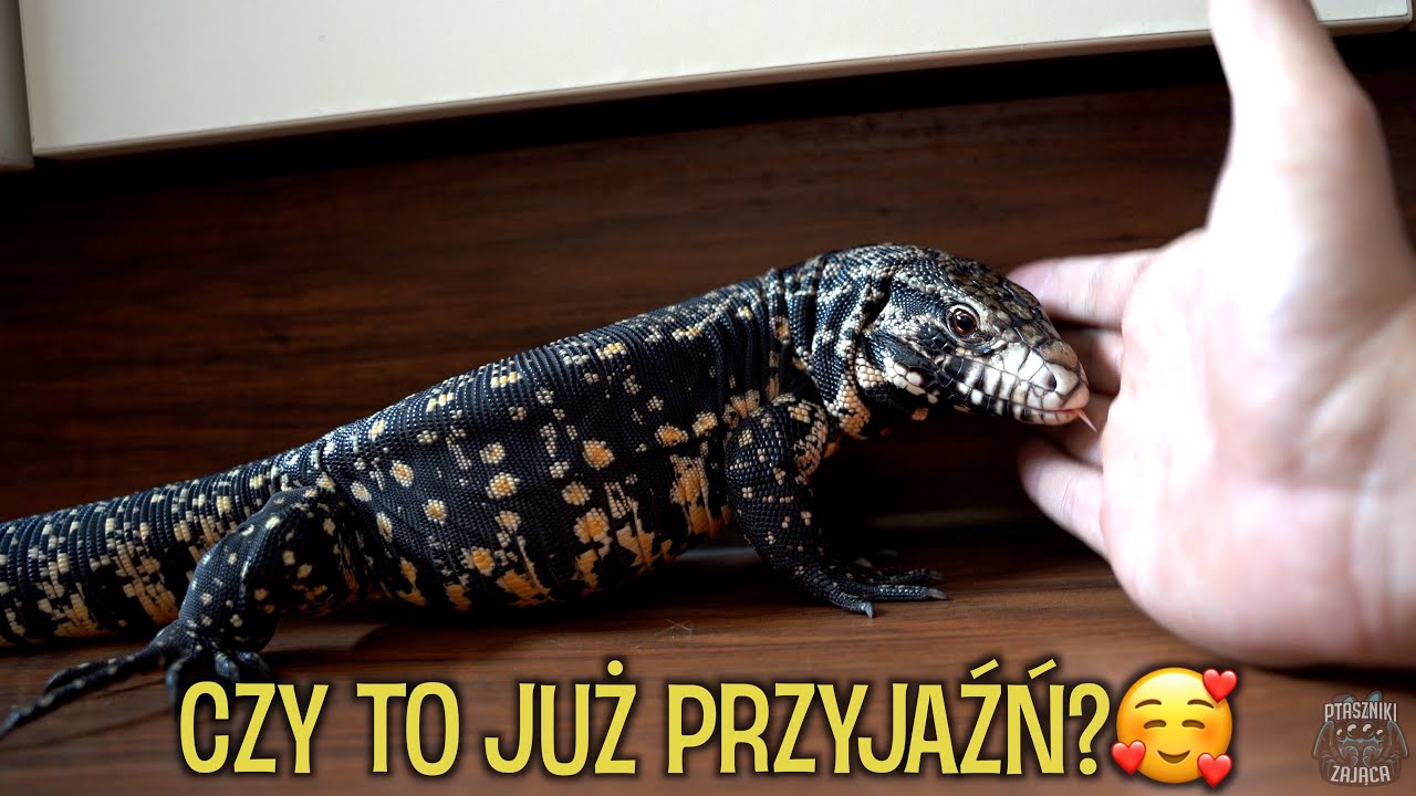 Mój Teju jest rozpieszczonym bydlakiem 😂