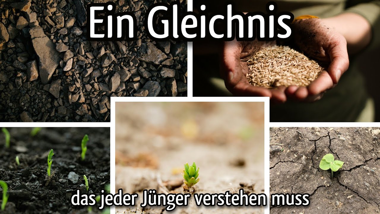 Ein Gleichnis, das jeder Jünger verstehen muss