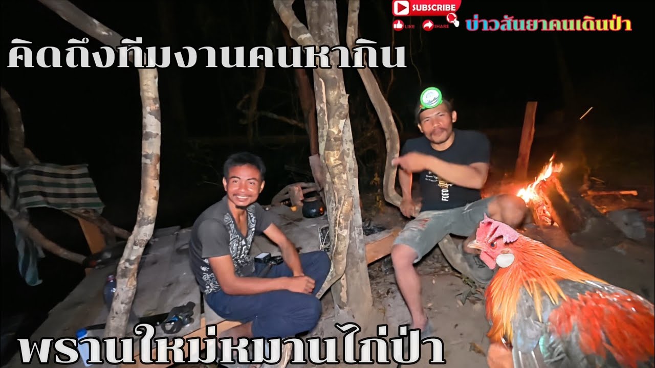 #พรานใหม่ได้ไก่ป่า#ພານໃໝ່ໄດ້ໄກ່ປ່າ#คิดถึงทีมงานคนหากิน#บ่าวสันยาคนเดินป่า