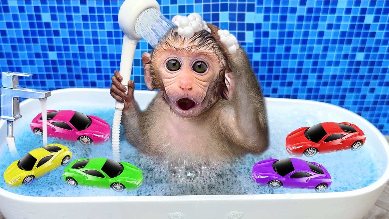 🔴LIVE – Baby monkey Bon Bon drives a car with his puppy in the garden