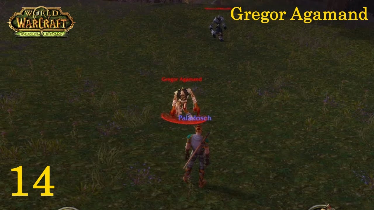 WoW TBC Paladin ⚔️ 14 