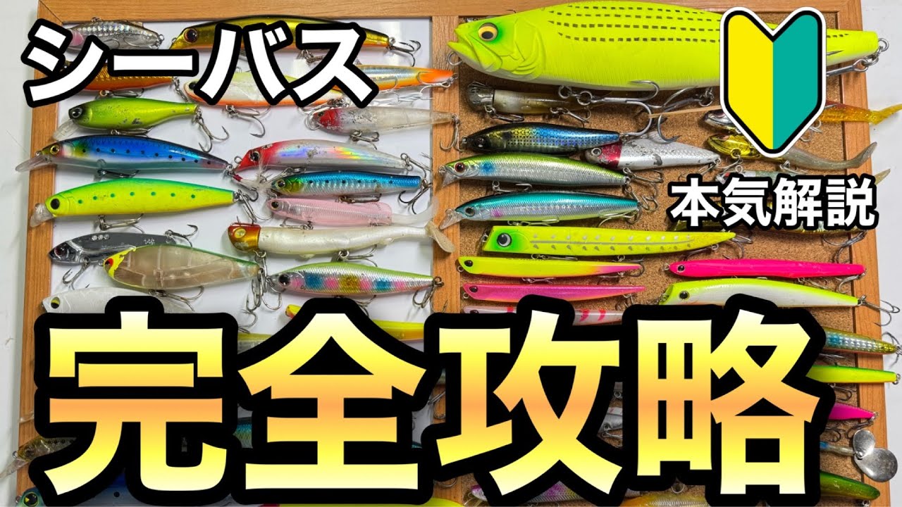 【永久保存版】シーバス本気解説！季節ごとのシーバスの釣り方を初心者向けに本気で解説してみた！