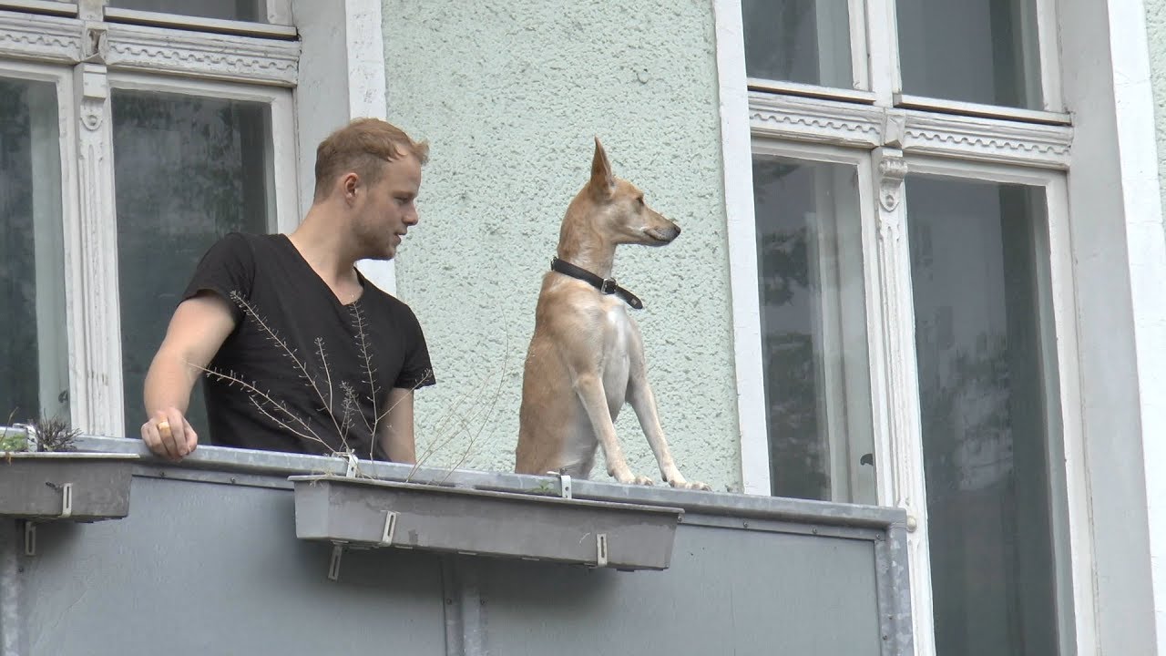 Zug der Liebe Berlin 2017