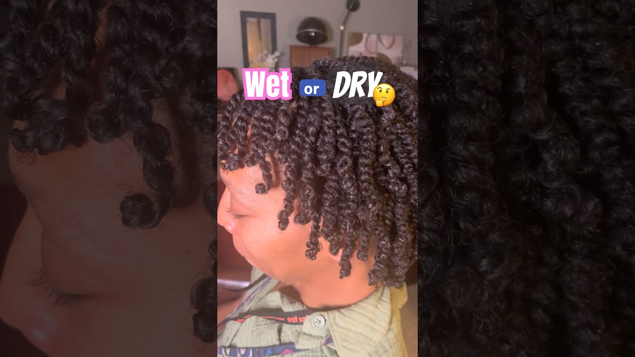 Wet or dry hair for twists?