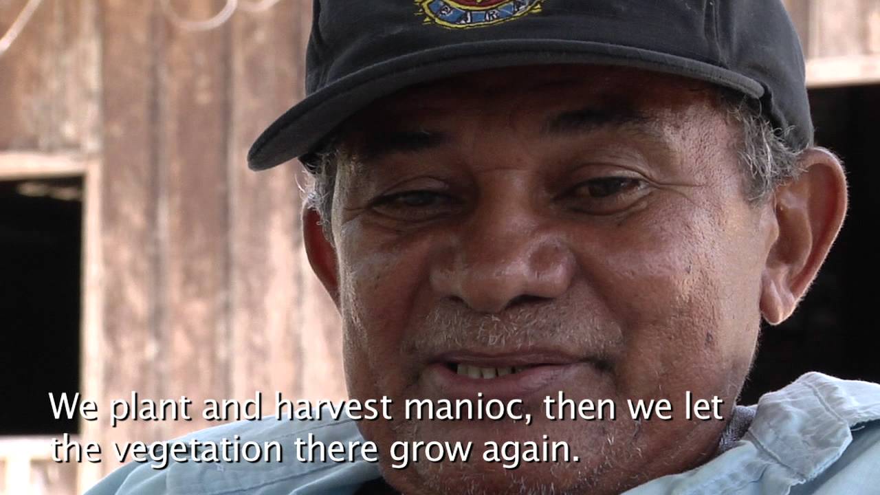 Slash & Burn | Part 1: Why Amazonian farmers use fire