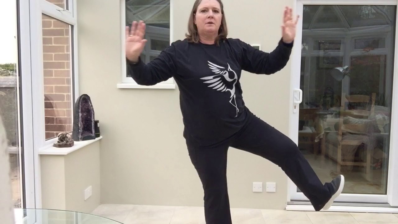 Moy Tai Chi 108 move set for restricted space