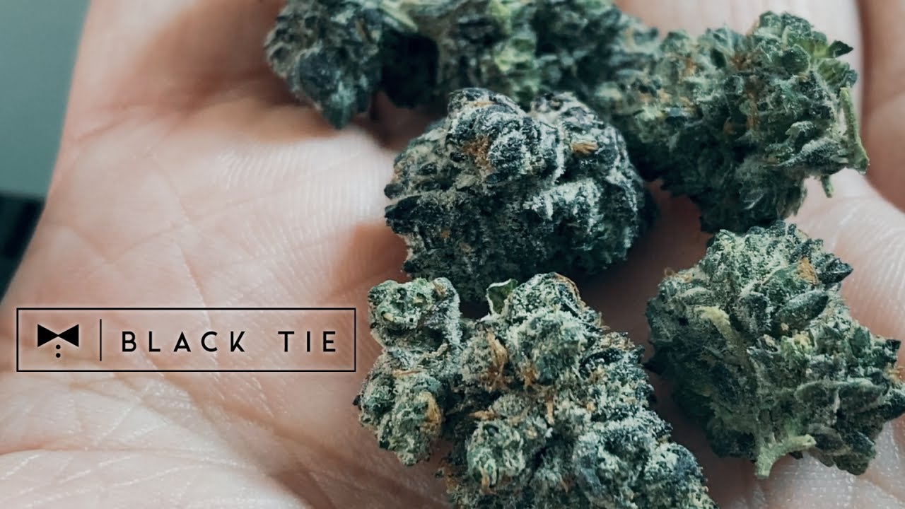 Tangerine Dream & Gushers THCa by Black Tie CBD