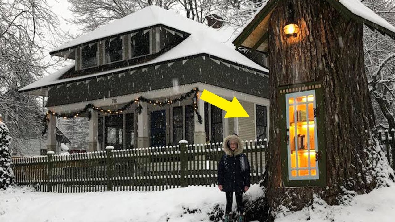 Woman Saves 110 Year Old Dying Tree, Converting It Into Magical Library Stump