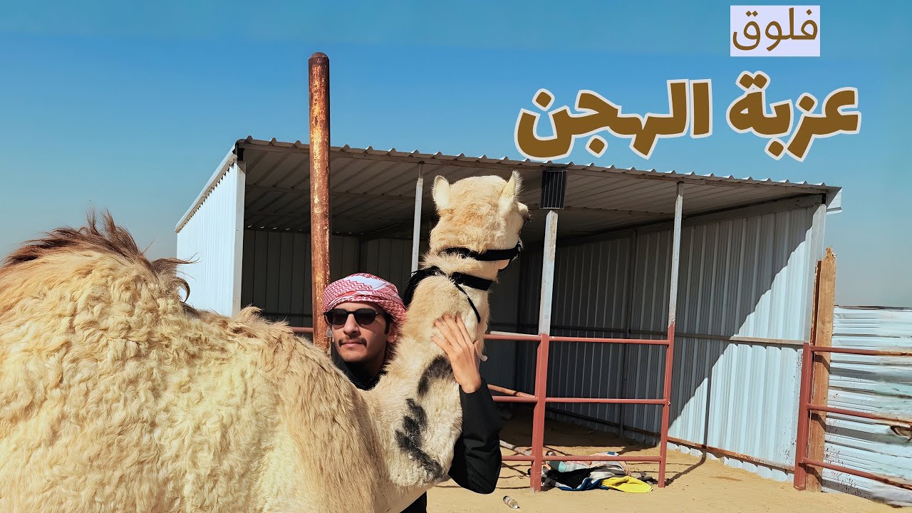 دخلت عالم الهجن لأول مرة … ماتوقعت الي شفته🐪😮