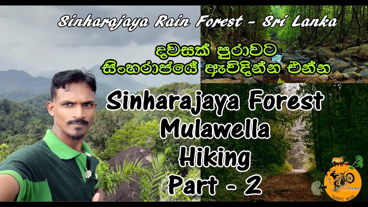 සිංහරාජයේ දවසක්  sinharajaya rain forest mulawella hiking - part 2