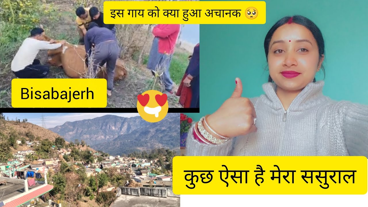 कुछ ऐसा दिखता है मेरा ससुराल का नजारा ❤️🤗 इस गाय को क्या हुआ अचानक🥺❤️#subscribe#like#comment#viral